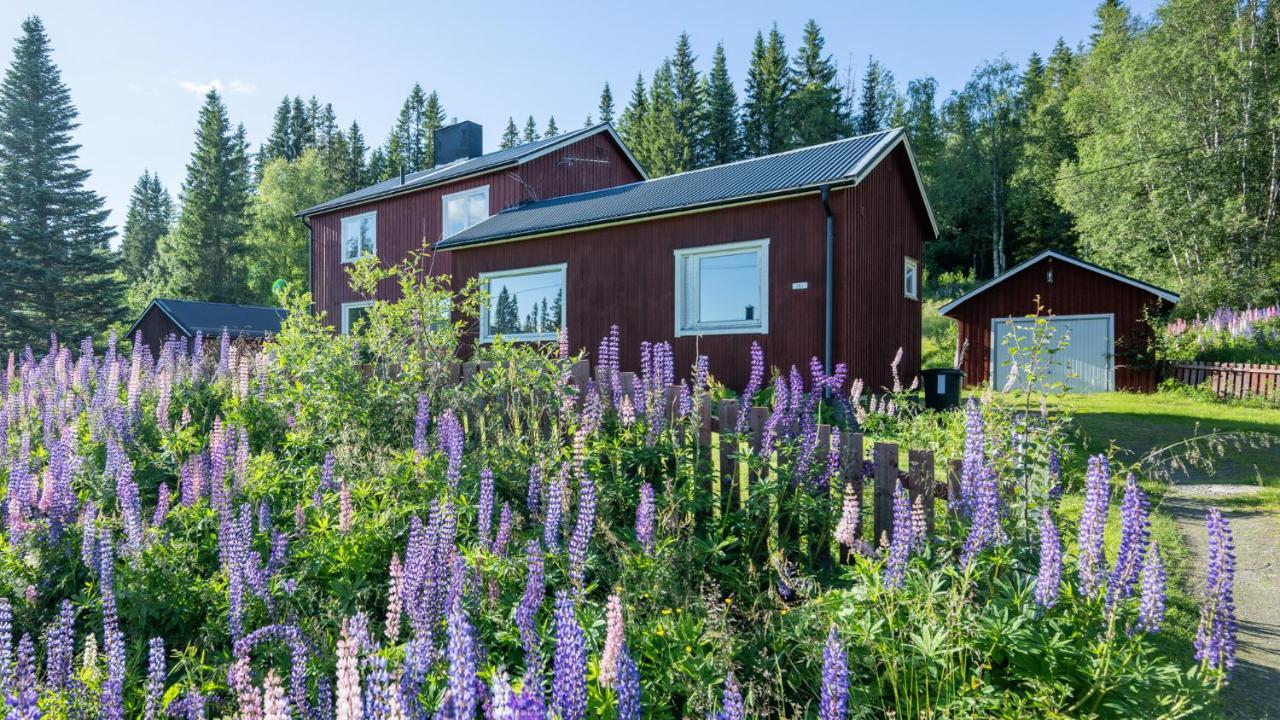 The Bear'S Den Villa Håkafot Exteriör bild