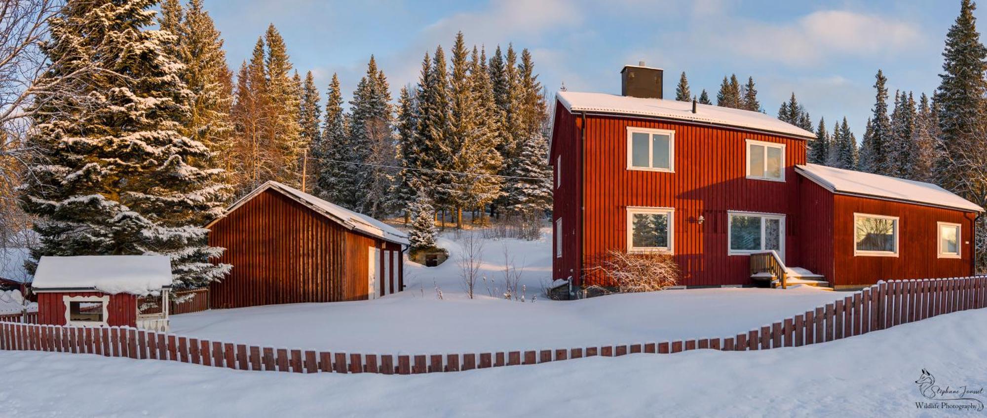 The Bear'S Den Villa Håkafot Exteriör bild